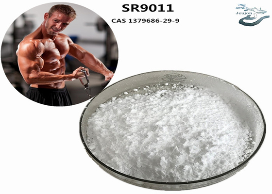 SR9011 Сармы для сжигания жира Gym Powder CAS 1379686-29-9 Бодибилдинг добавка