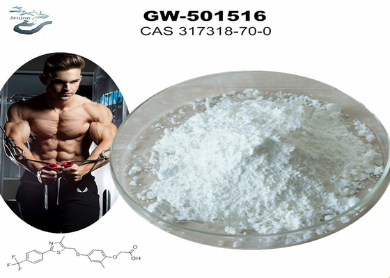 GW 501516 GSK-516 Сармс Джим Порошок для бодибилдинга CAS 317318-70-0